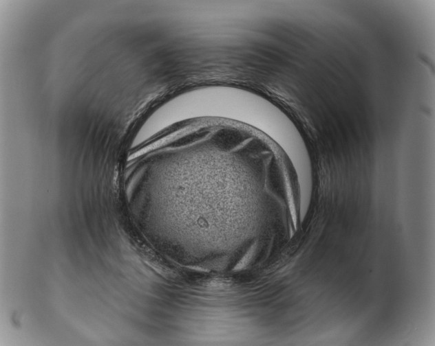 X0000103160308200809121844