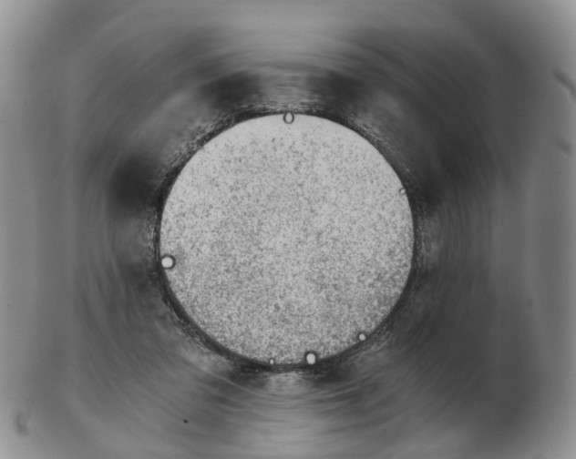 X0000103160309200809121844