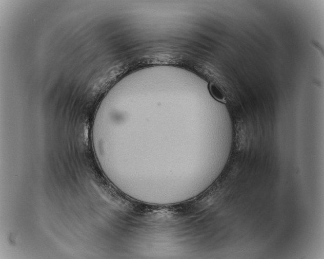 X0000103160310200809121844