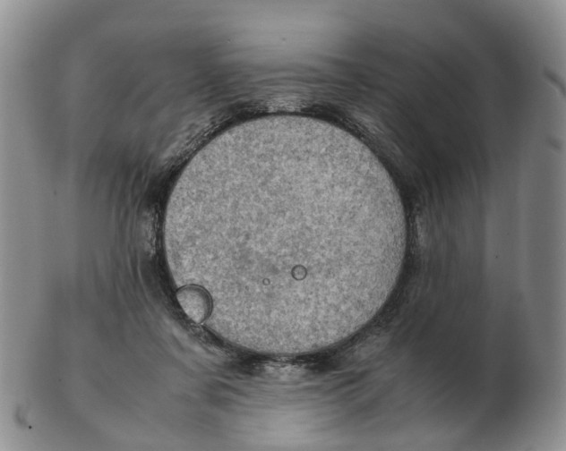 X0000103160311200809121844