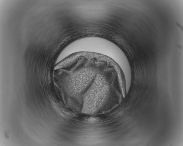 X0000103160312200809121844