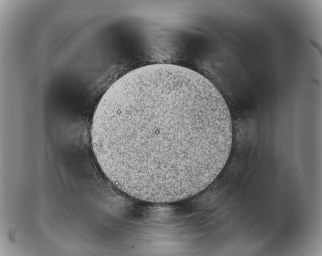 X0000103160313200809121844