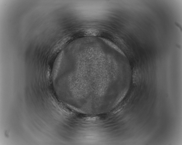 X0000103160314200809121844