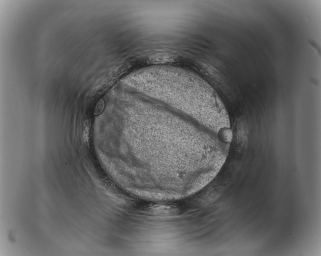 X0000103160315200809121844