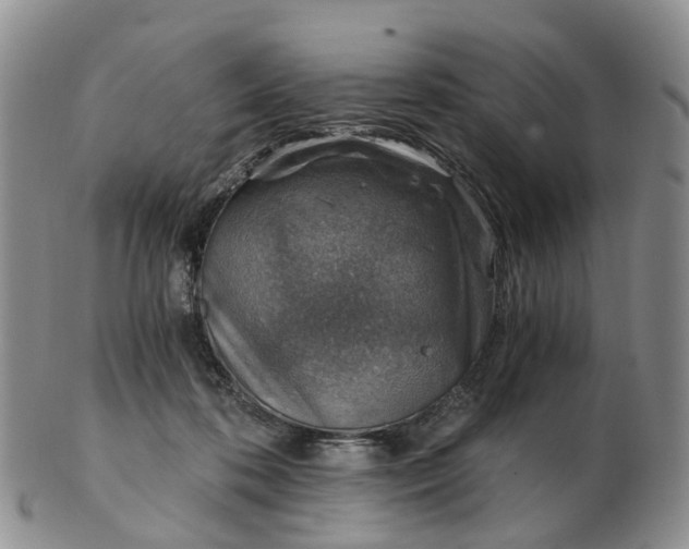 X0000103160316200809121844