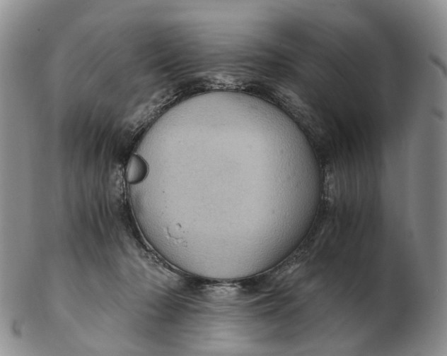 X0000103160318200809121844