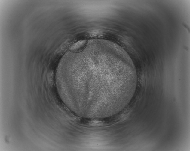 X0000103160319200809121844