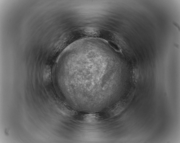 X0000103160320200809121844