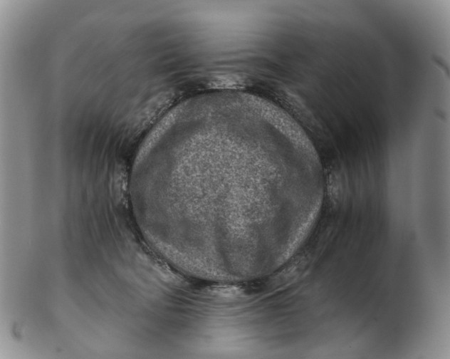 X0000103160322200809121844