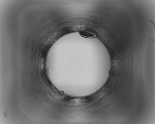 X0000103160323200809121843