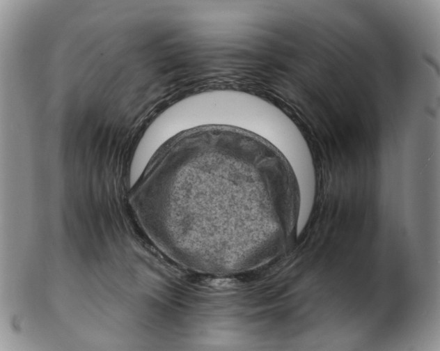 X0000103160324200809121843