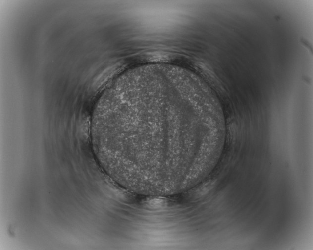 X0000103160325200809121843