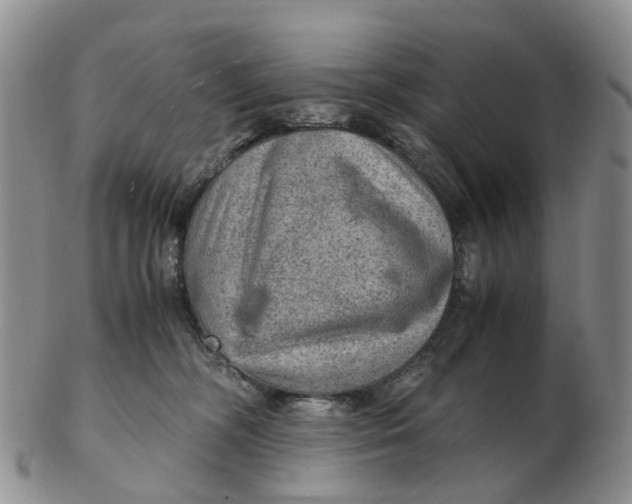 X0000103160326200809121843