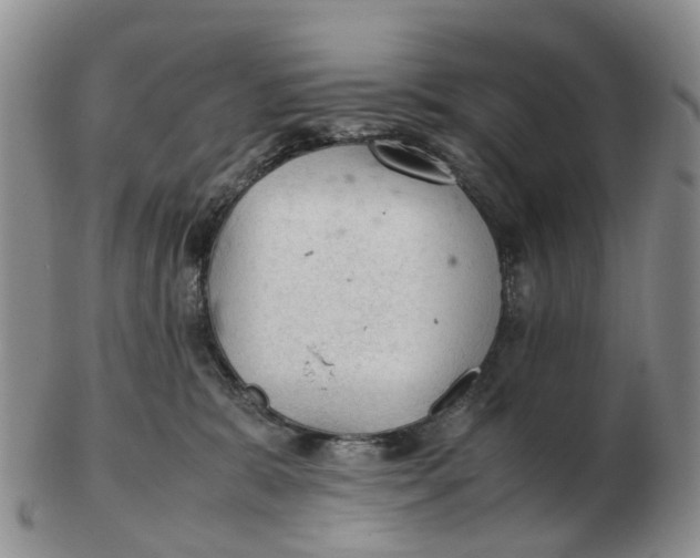 X0000103160327200809121843