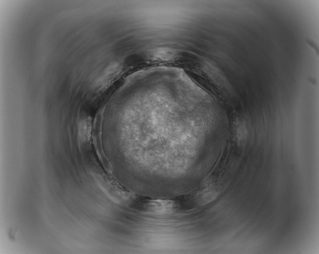 X0000103160328200809121843