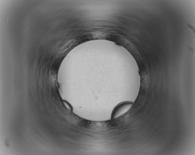 X0000103160329200809121843