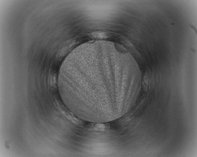 X0000103160330200809121843