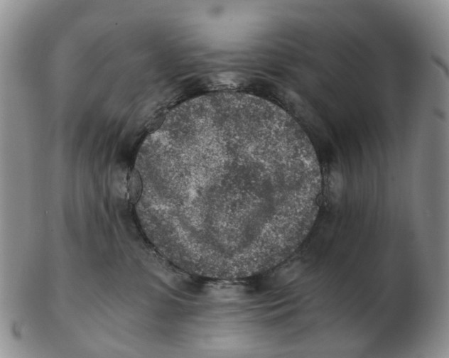 X0000103160331200809121843