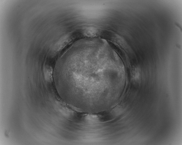 X0000103160332200809121843