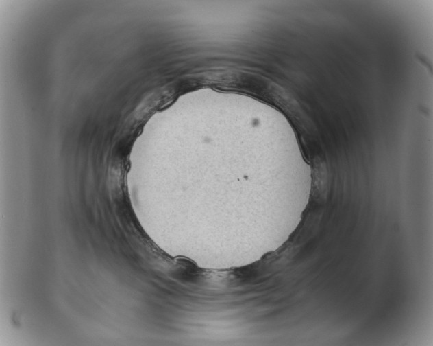 X0000103160333200809121843