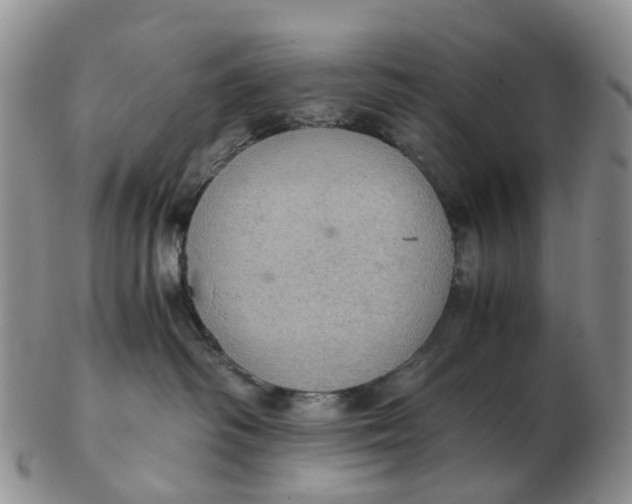 X0000103160334200809121843