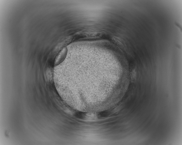 X0000103160335200809121843