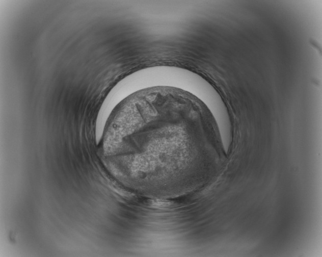 X0000103160336200809121843