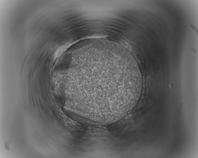 X0000103160337200809121842