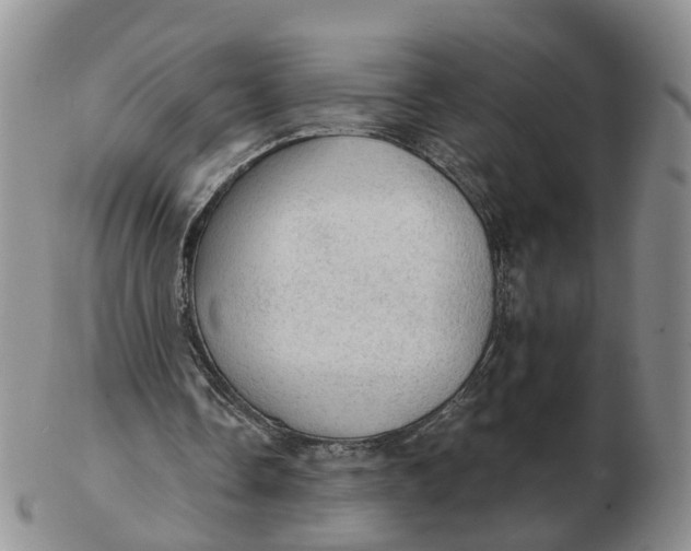 X0000103160338200809121842