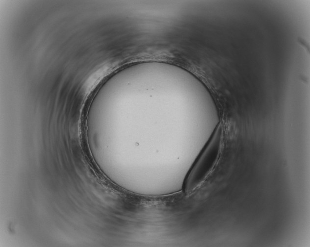 X0000103160340200809121843