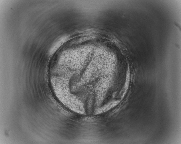 X0000103160341200809121843