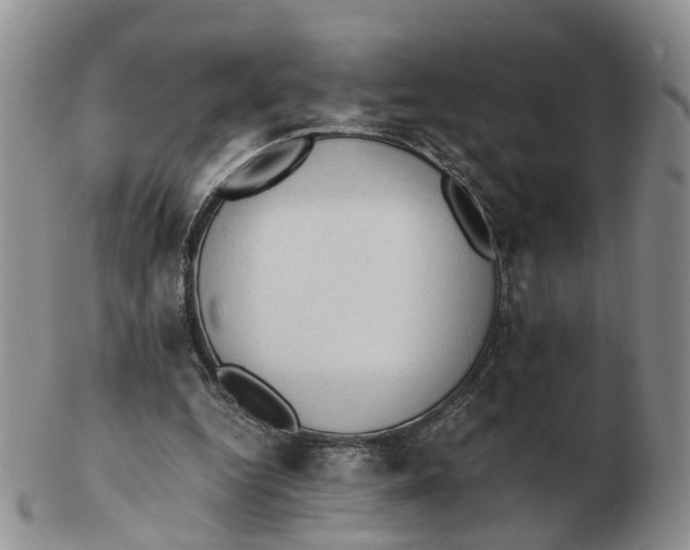 X0000103160344200809121843