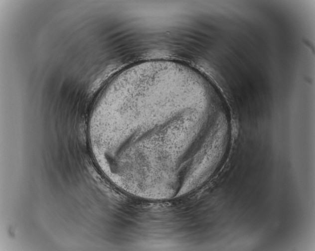 X0000103160345200809121843