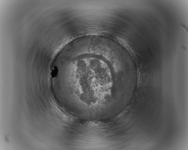 X0000103160346200809121843