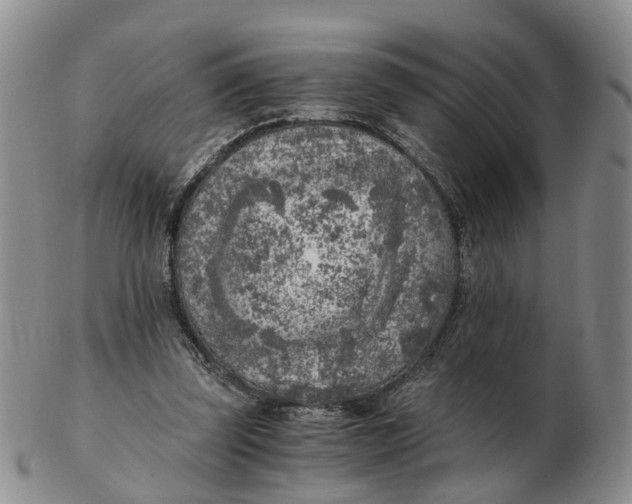 X0000103160347200809121843