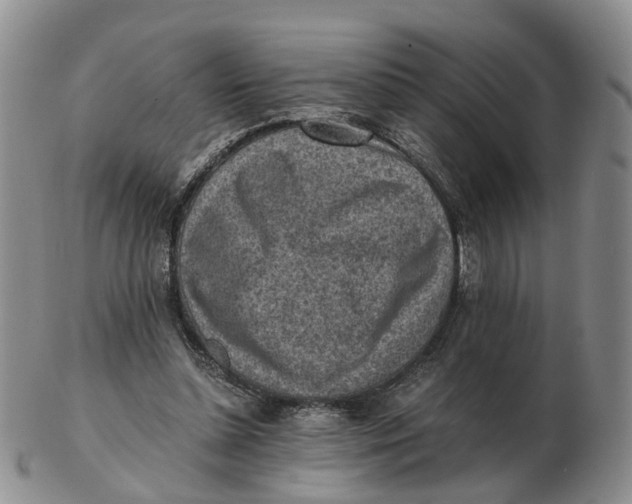 X0000103160348200809121843