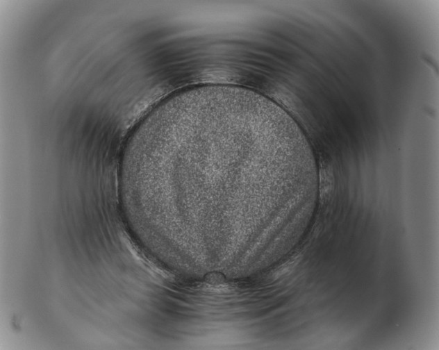 X0000103160349200809121843