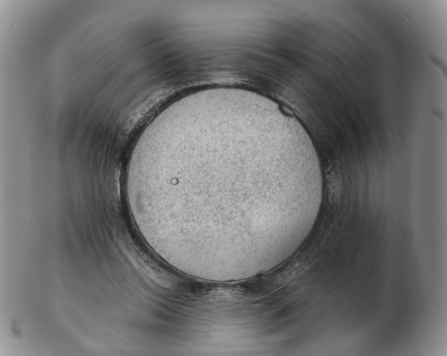 X0000103160350200809121843