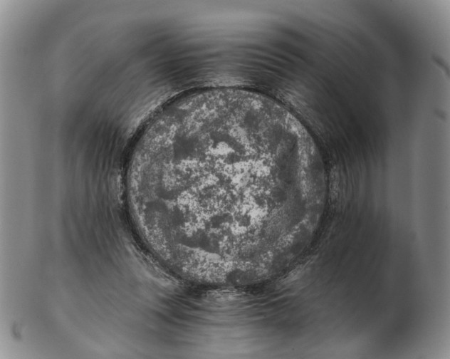 X0000103160351200809121843