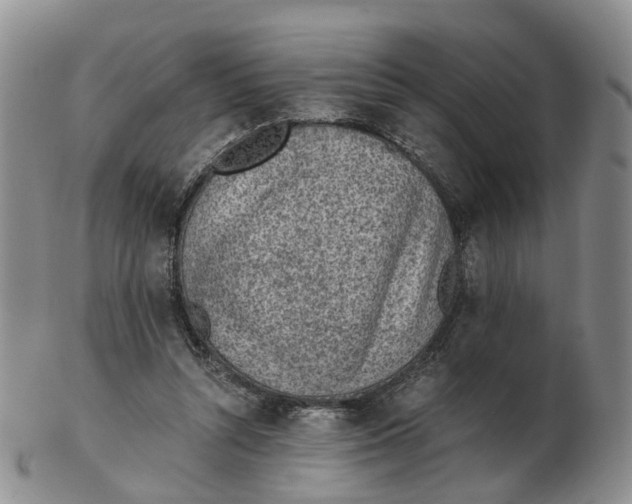 X0000103160352200809121843