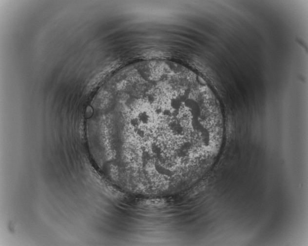 X0000103160353200809121843