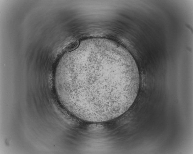 X0000103160354200809121843