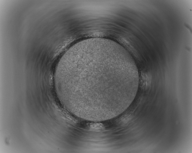 X0000103160355200809121843