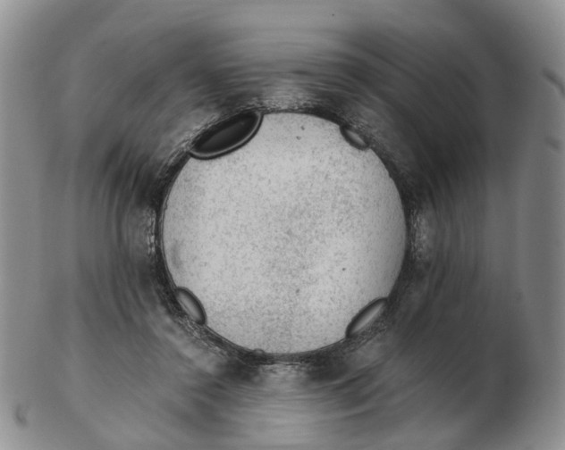 X0000103160356200809121843