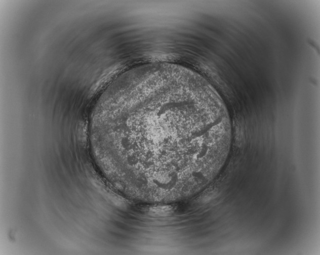 X0000103160357200809121843