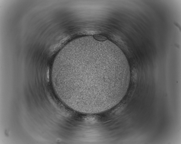 X0000103160358200809121843