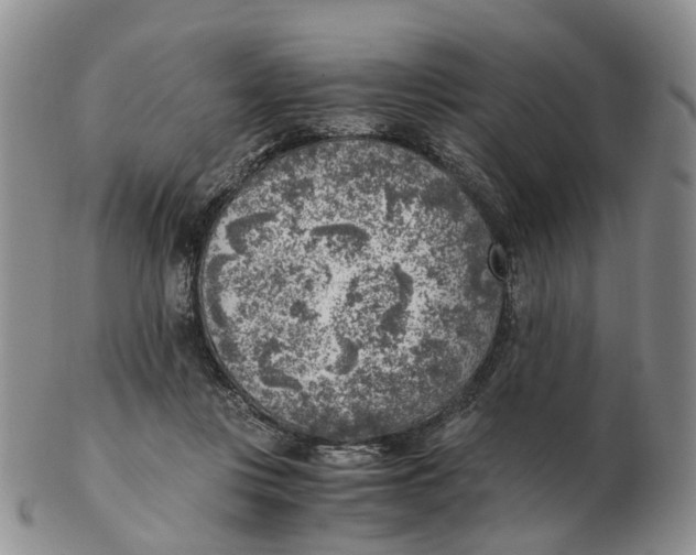 X0000103160359200809121843