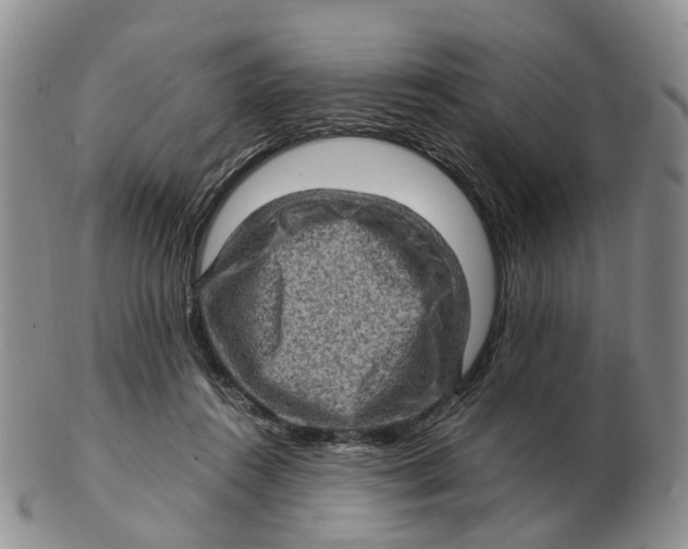 X0000103160360200809121843