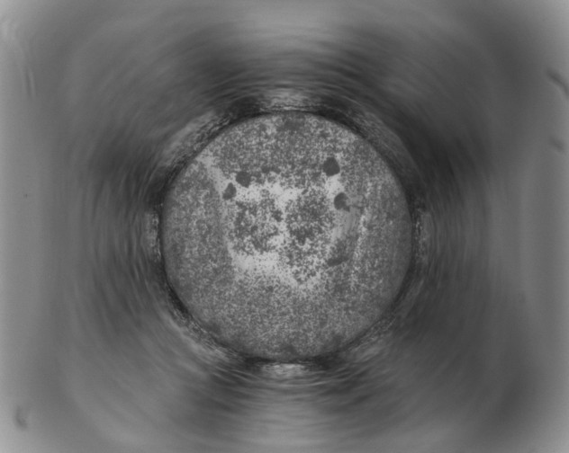 X0000103160361200809121843