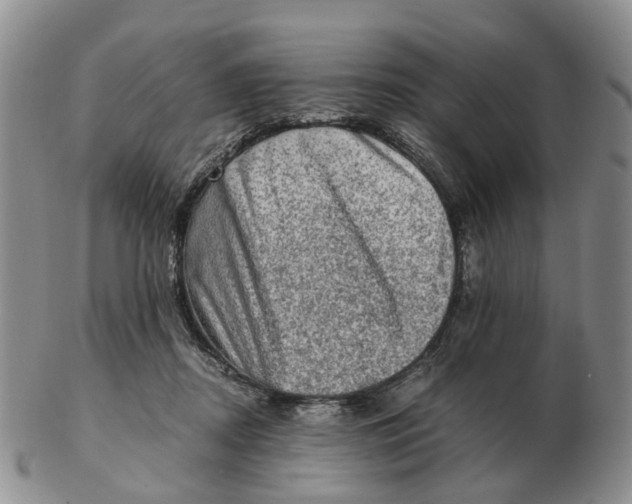 X0000103160362200809121843